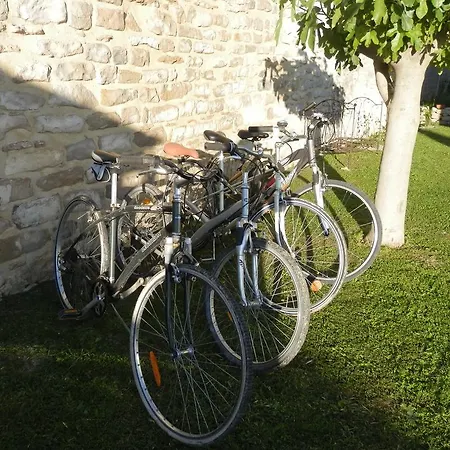 L'oliva *