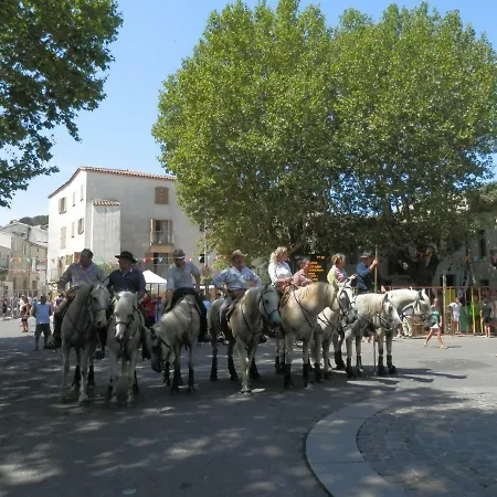 L'oliva Maison d'hôtes