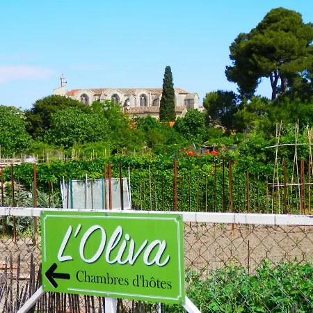 L'oliva Maison d'hôtes Calvisson