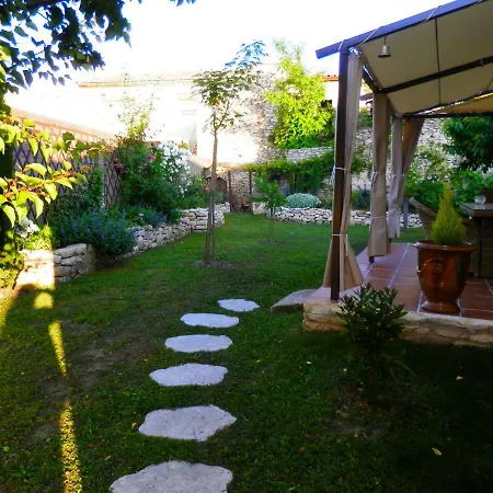 L'oliva Calvisson