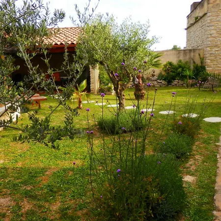 Maison d'hôtes L'oliva *