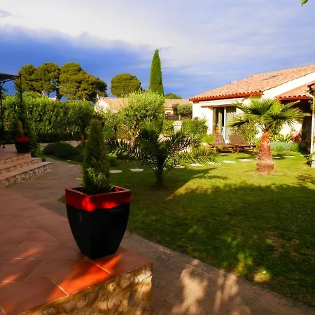 L'oliva Calvisson