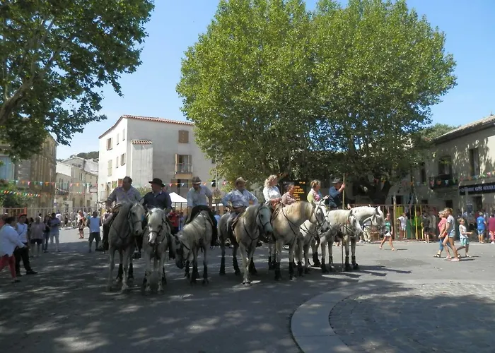 L'oliva بيت ضيافة